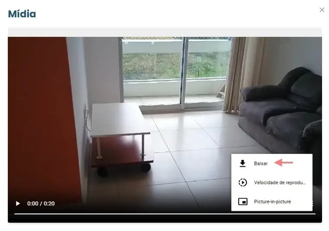 baixar video 